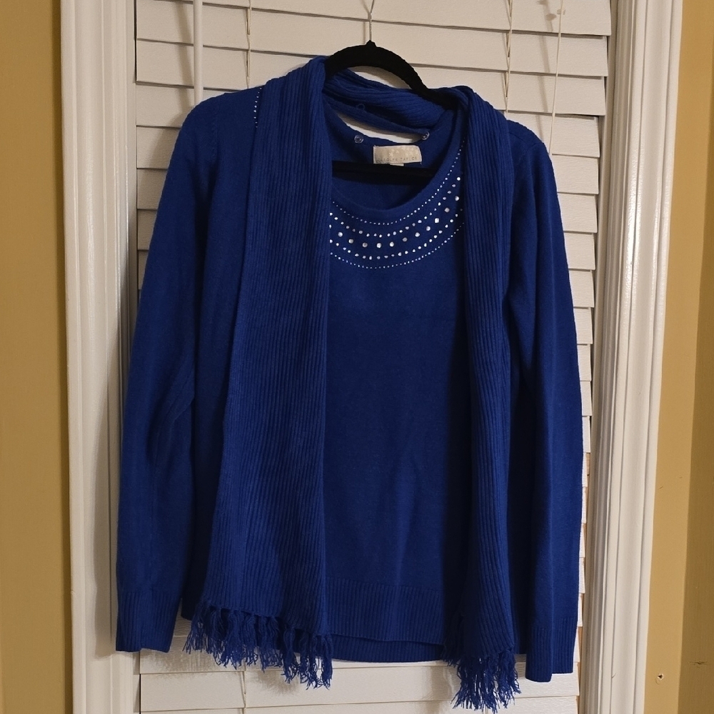 Carolyn Taylor Blue Crew Neck Sweater with Elegant Beading